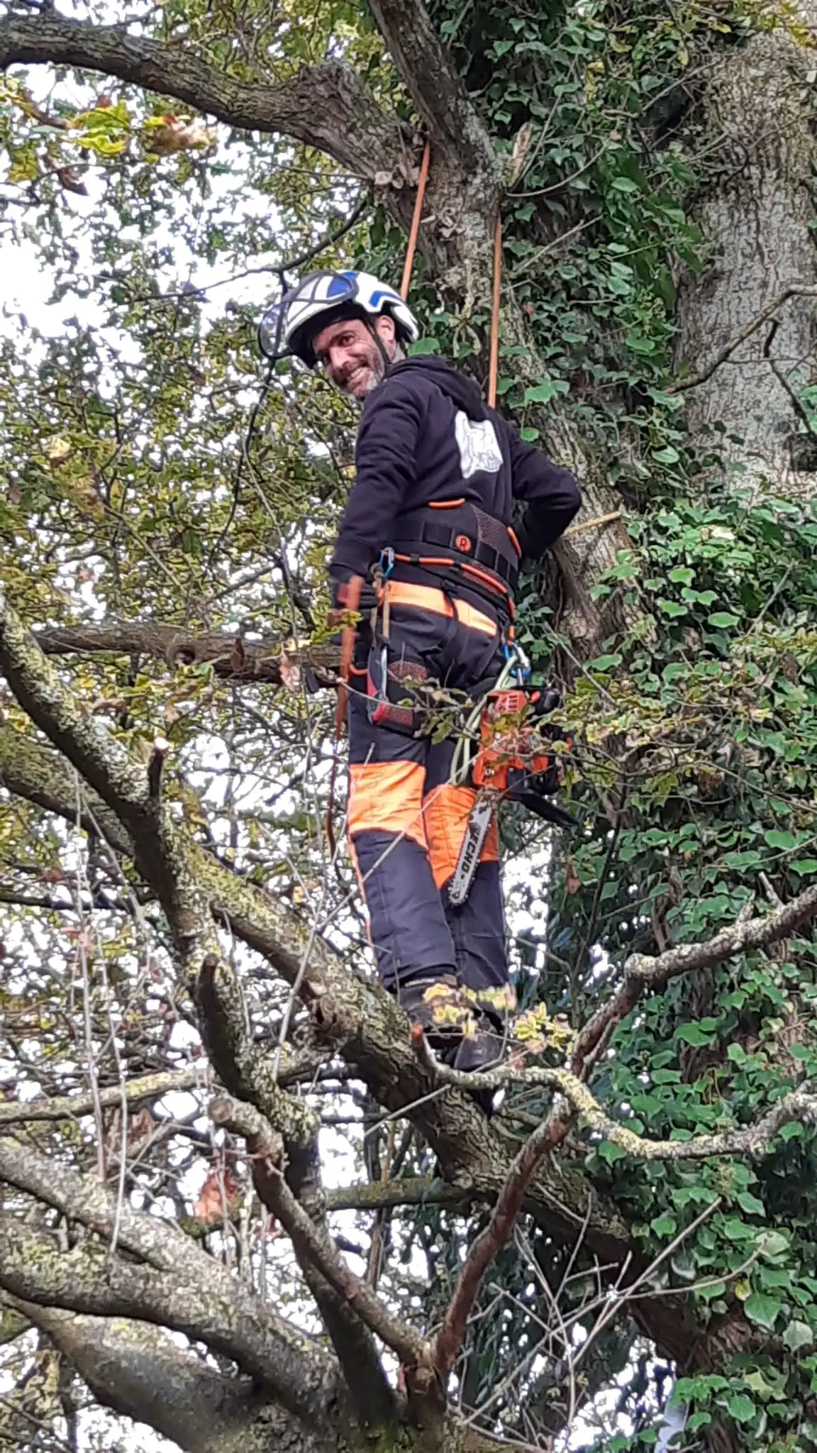 David Moisson, paysagiste en Vendée avec 20 ans d'expérience