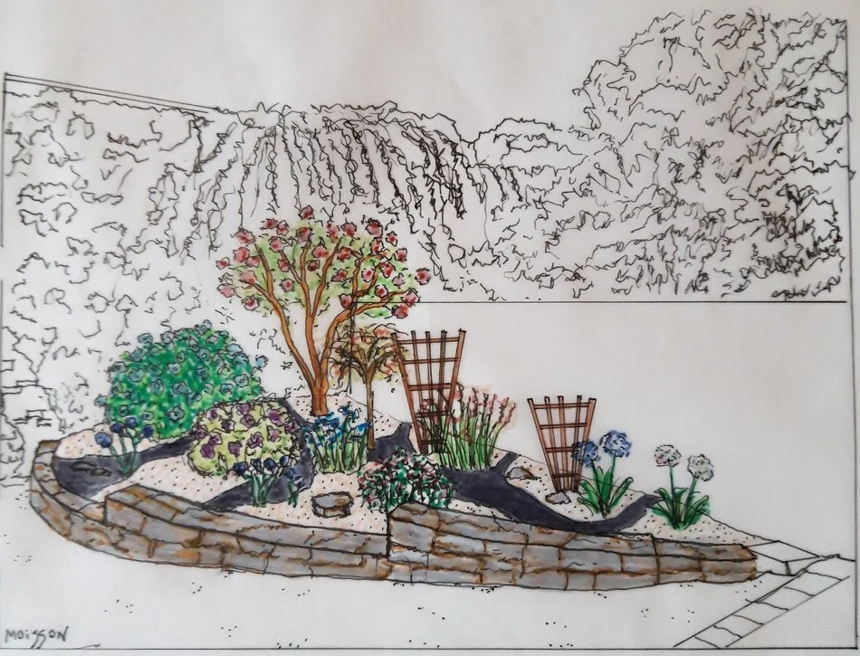 Croquis de jardin personnalisé